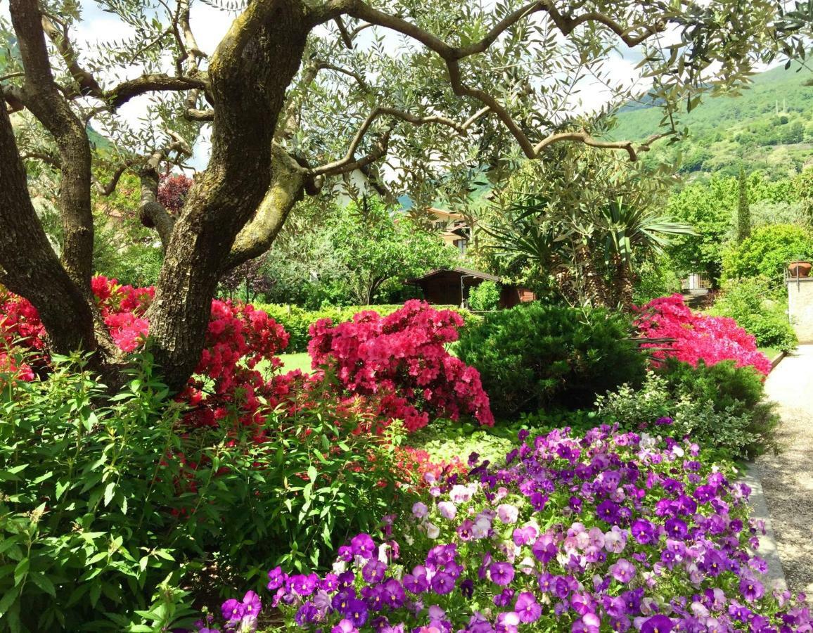 Iris 2 Lago Di Como Dongo Eksteriør billede