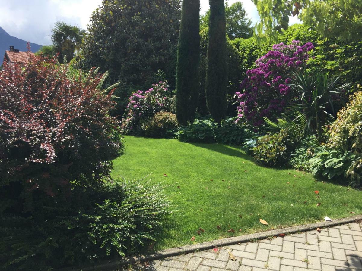 Iris 2 Lago Di Como Dongo Eksteriør billede