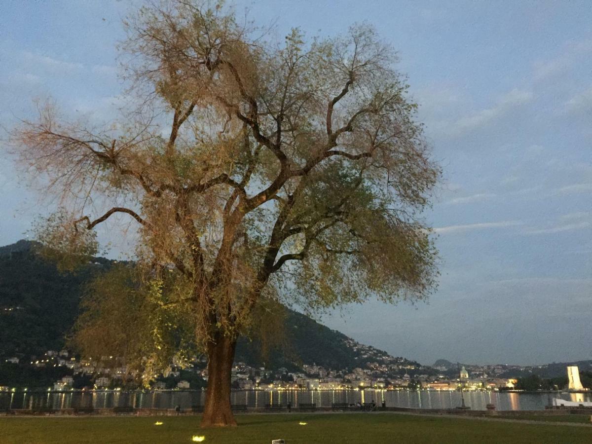 Iris 2 Lago Di Como Dongo Eksteriør billede