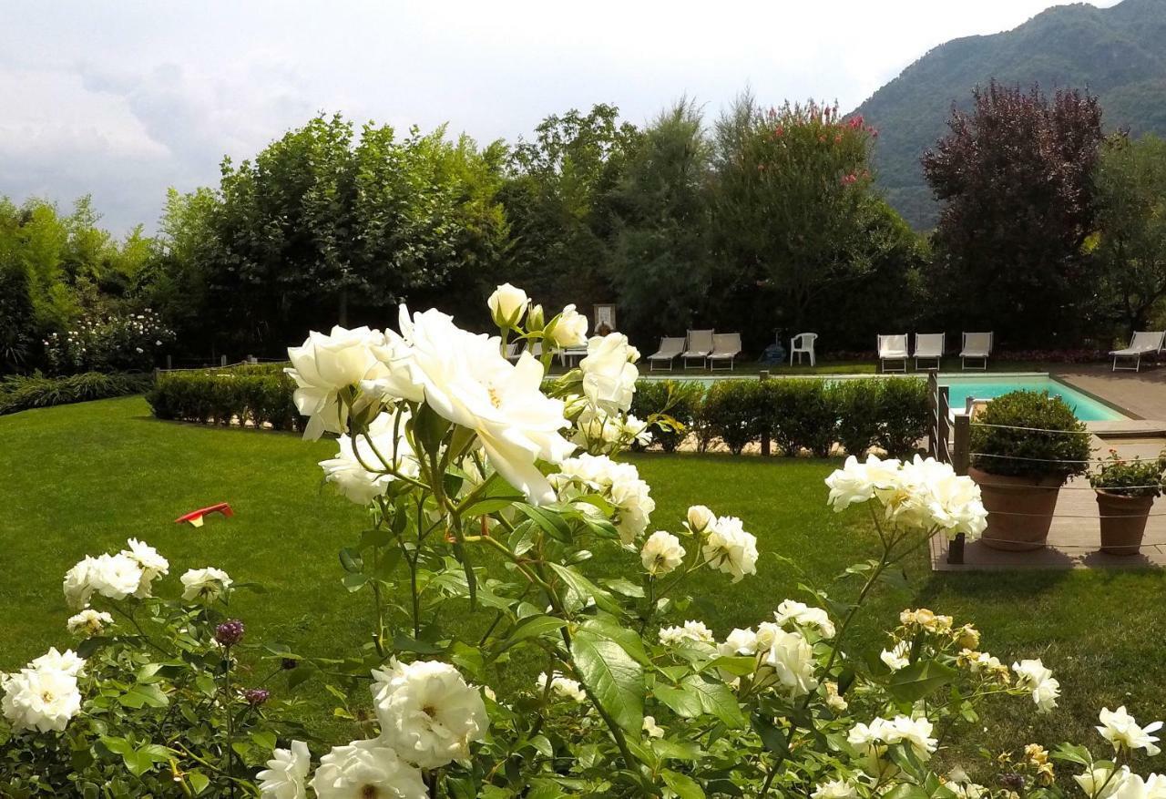 Iris 2 Lago Di Como Dongo Eksteriør billede